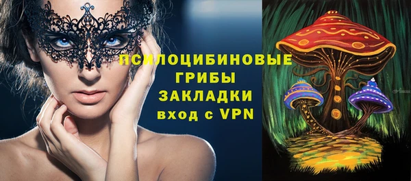 сатива Алзамай