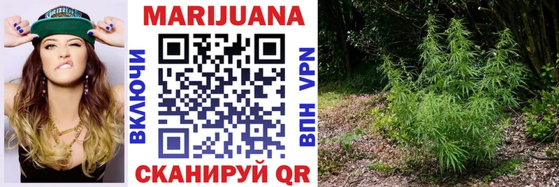 как найти закладки Зарайск Канабис семена